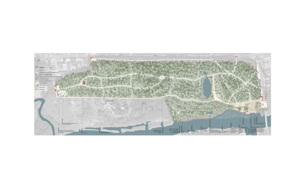 Plan zagospodarowania parku nad Narwią z siecią alejek pośród zadrzewienia, stawem, strefą małej architektury i wejściami oznaczonymi wzdłuż nabrzeża.